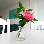 Apartmán Waves *